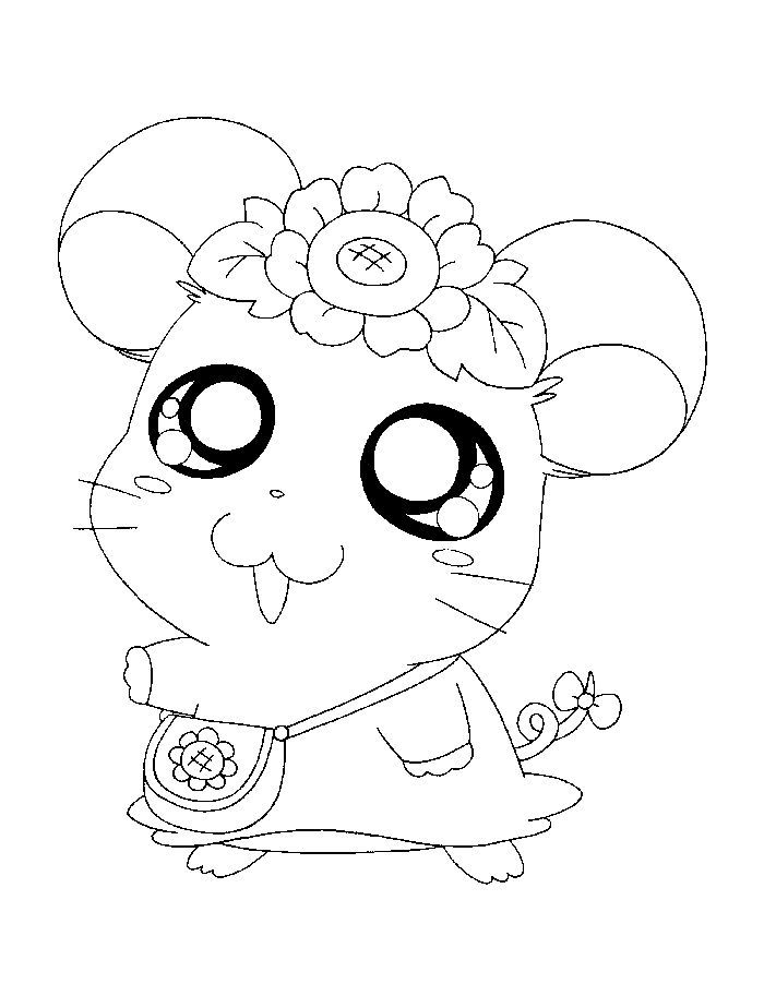 Cute hamster coloring pages pdf printable