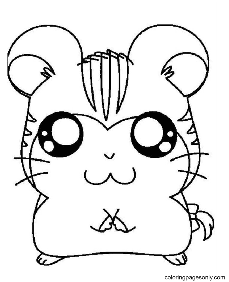 Hamster coloring pages printable for free download