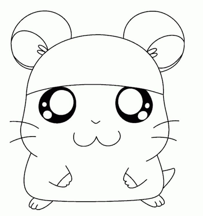 Cute hamster coloring pages pdf printable