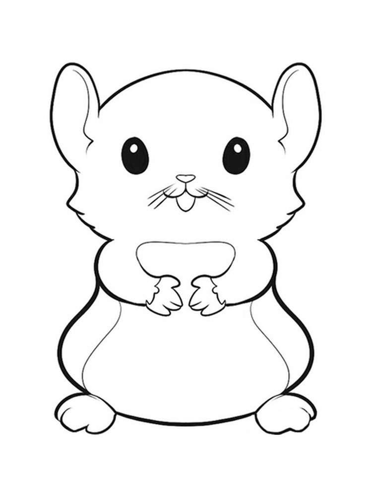 Cute little hamster coloring page