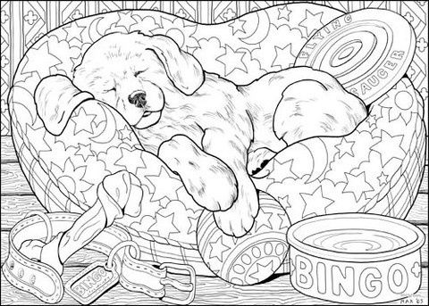 Animal coloring pages cute coloring pages dog coloring page