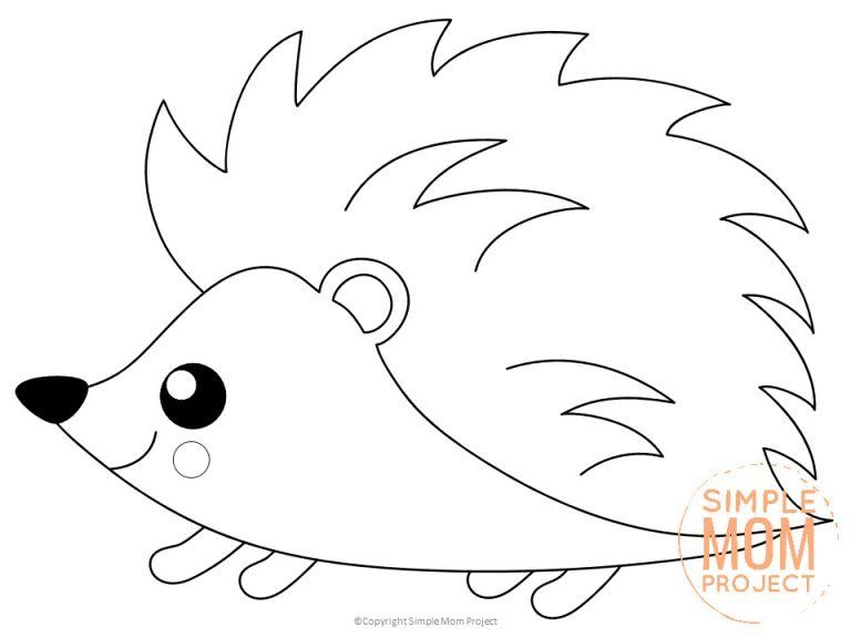 Free printable forest hedgehog coloring page hedgehog colors animal coloring pages animal coloring books