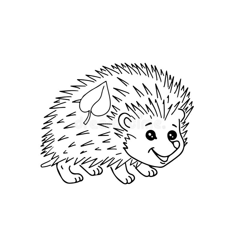 Hedgehog coloring book stock illustrations â hedgehog coloring book stock illustrations vectors clipart