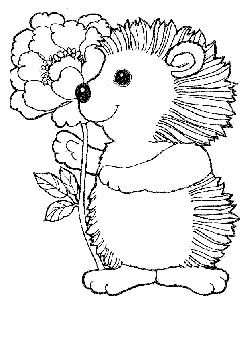 Coloring pages cute hedgehog coloring pages coloring