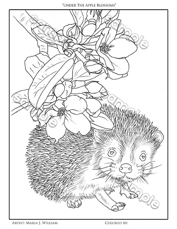 Cute hedgehog blossoms coloring page by maria j william instant pdf download