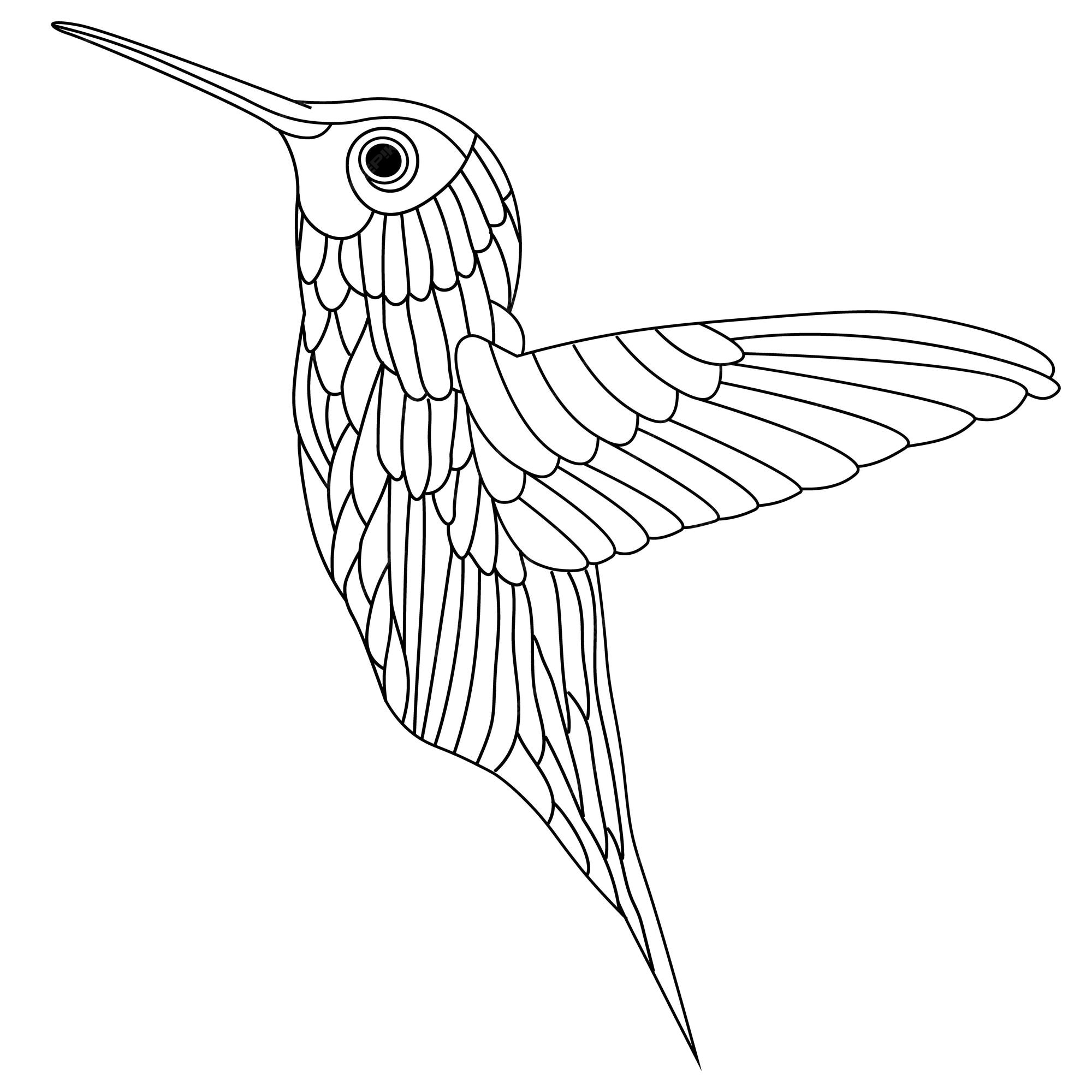 Premium vector cute hummingbird bird coloring book page line art illustration for kids