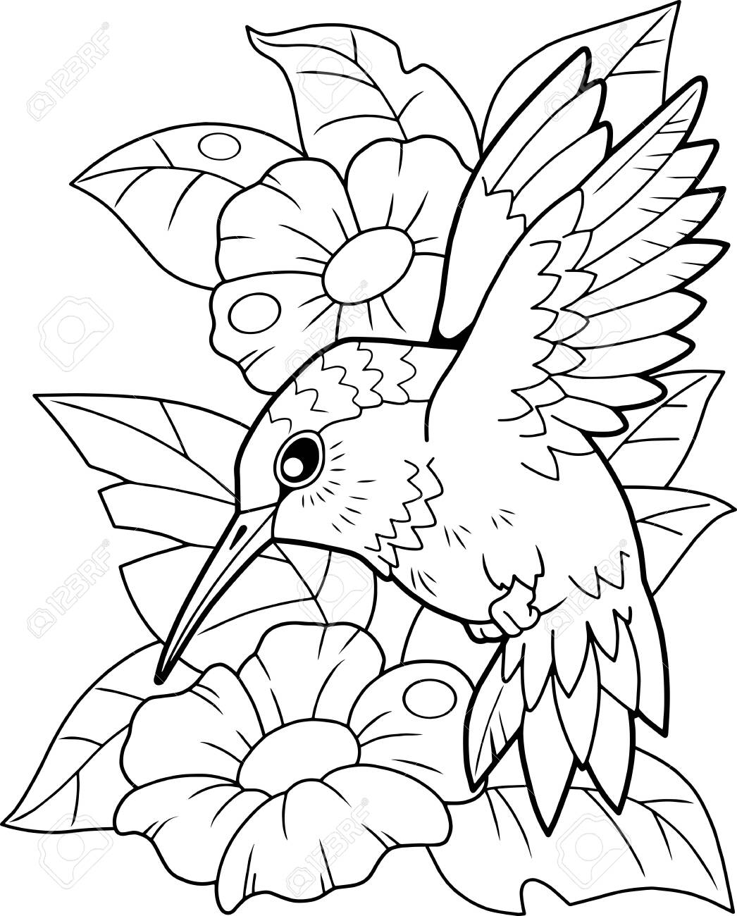 Cartoon cute hummingbird bird coloring book funny illustration royalty free svg cliparts vectors and stock illustration image
