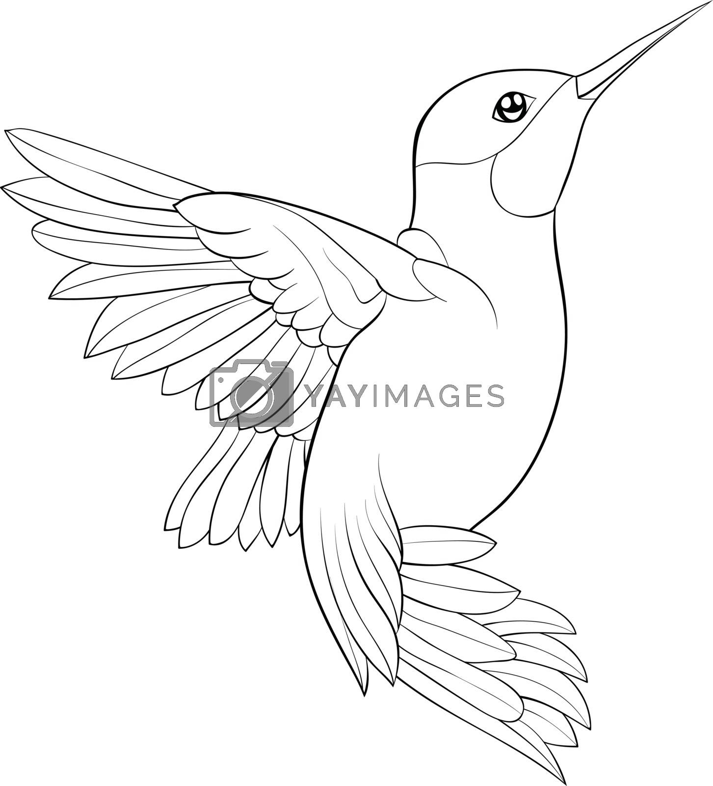 Adult coloring bookpage a cute hummingbird image for relaxing by nonuzza vectors illustrations with unlimited downloads