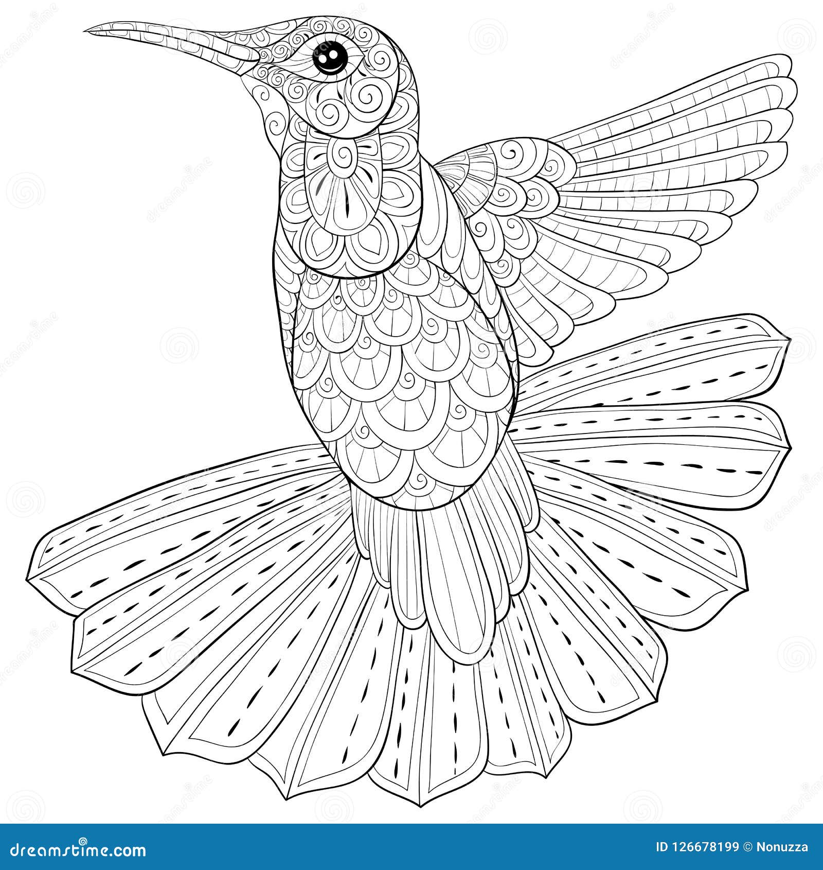 Adult coloring bookpage a cute hummingbird for relaxingzen art style illustration stock vector