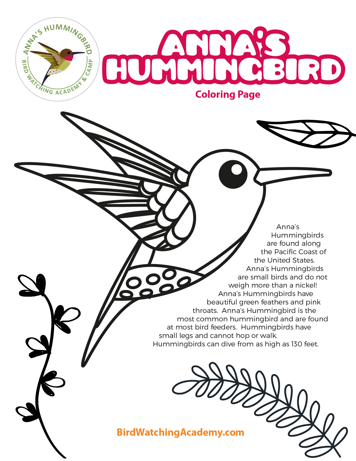 Annas hummingbird coloring page