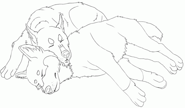 Husky coloring pages