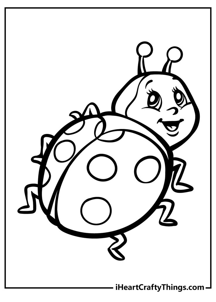 Ladybug coloring pages ladybug coloring page bug coloring pages insect coloring pages