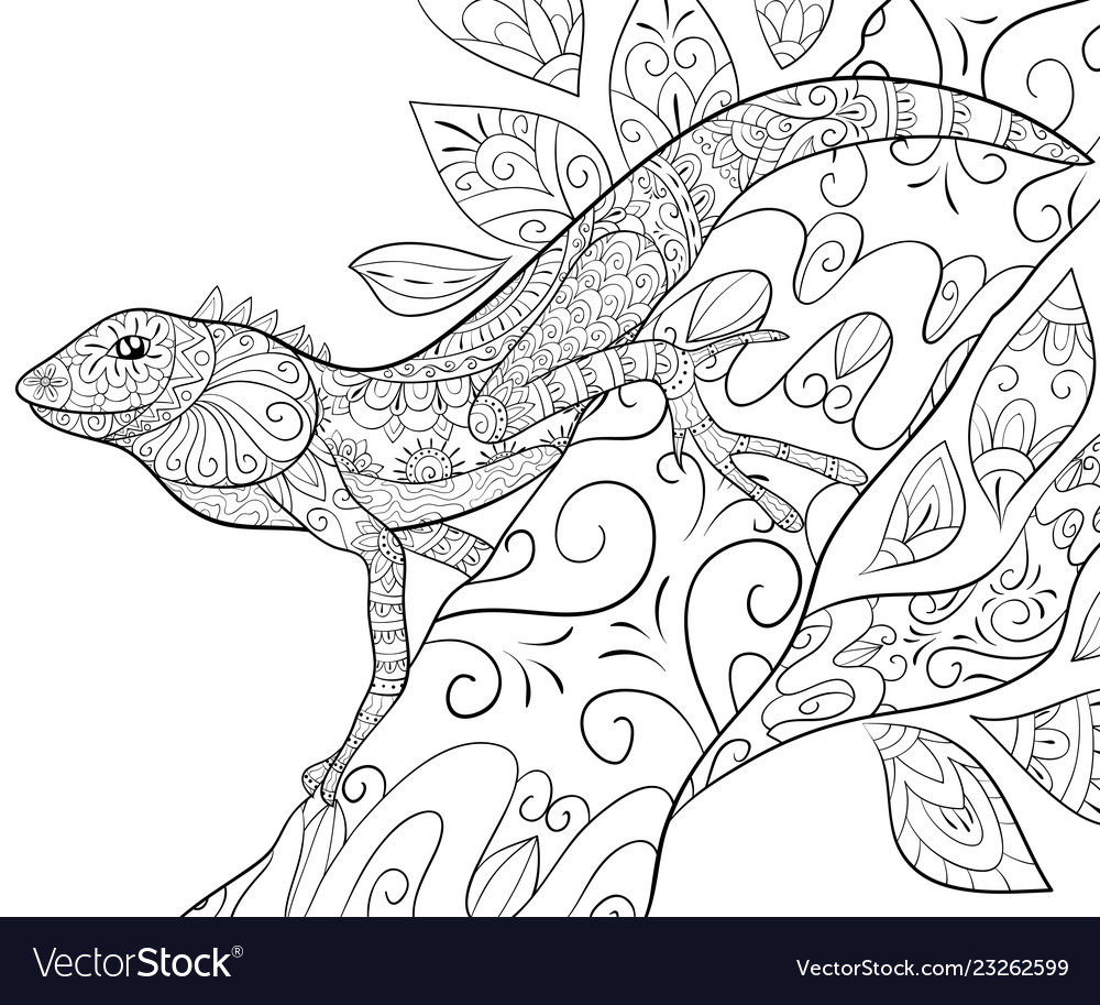 Adult coloring bookpage a cute lizard royalty free vector