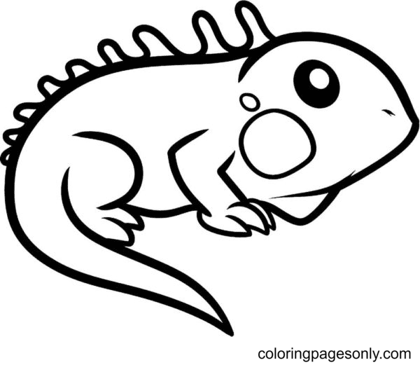 Lizard coloring pages printable for free download