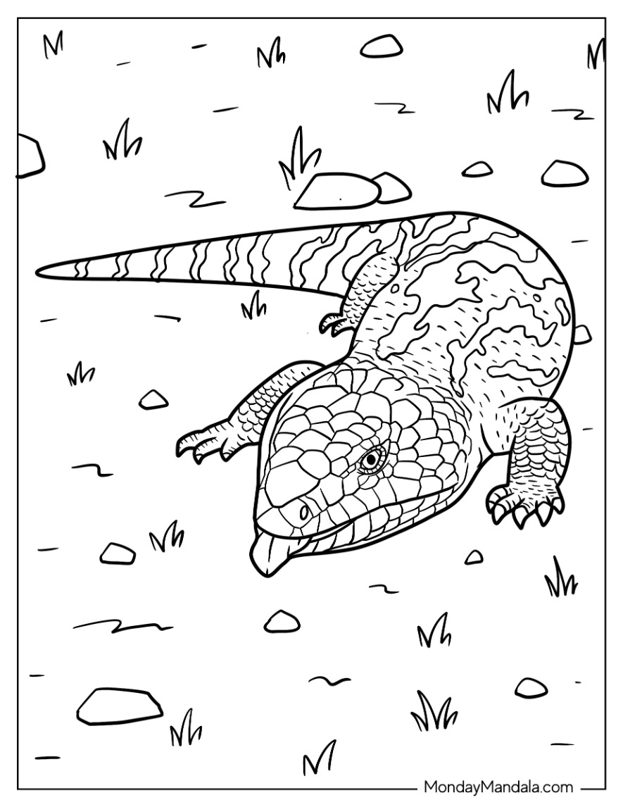 Lizard coloring pages free pdf printables