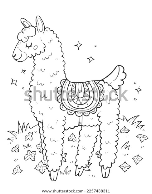 Llama coloring book images stock photos d objects vectors