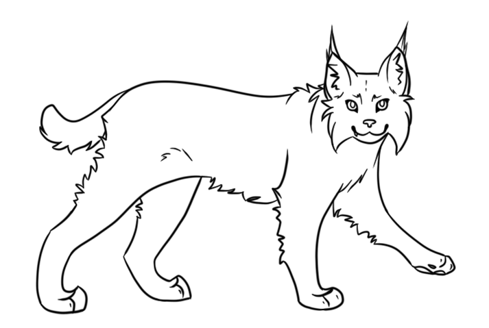 Lynx coloring pages