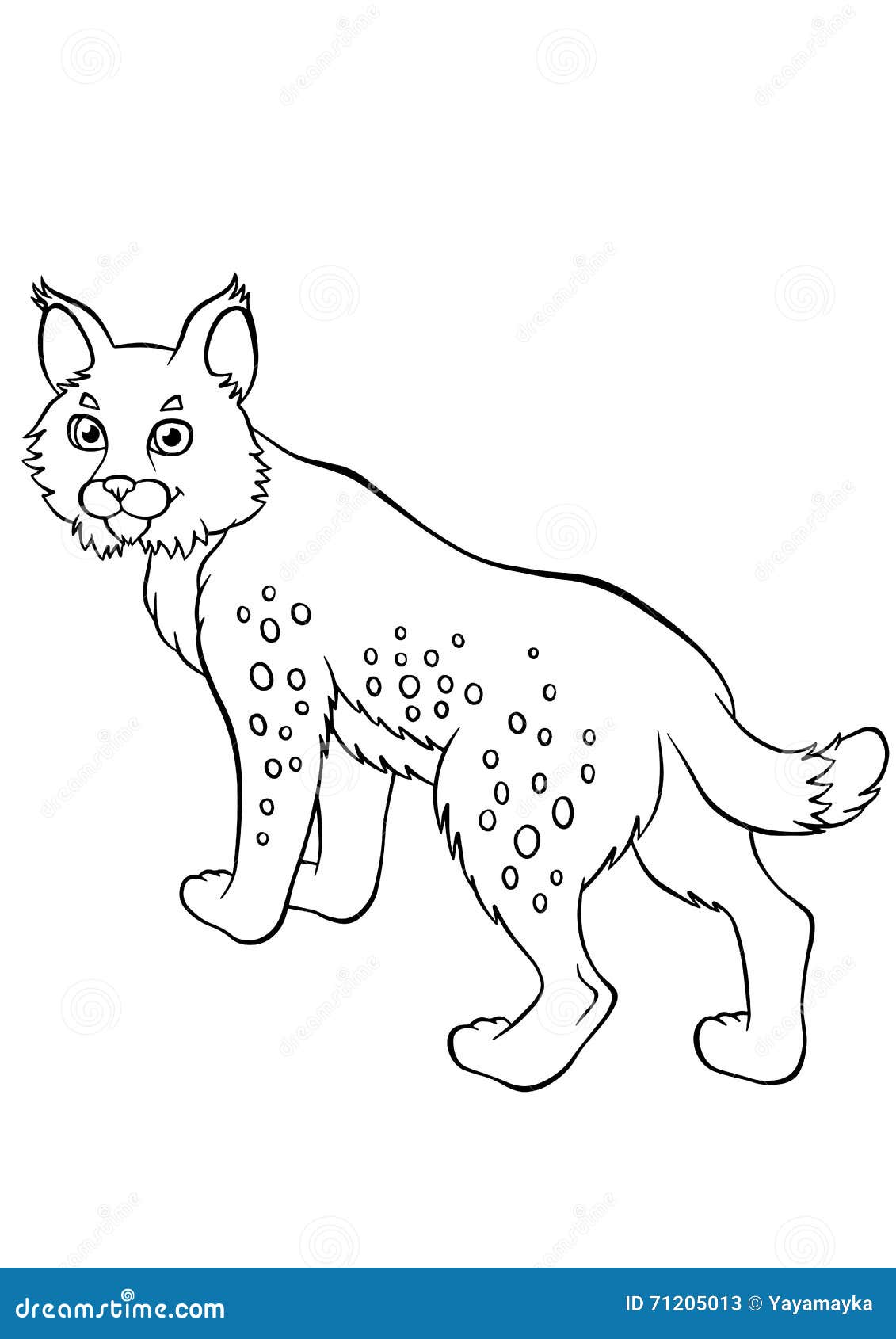 Coloring pages animals little cute lynx stock vector