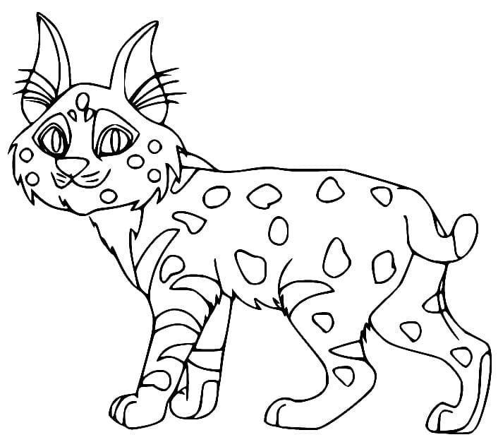 Pretty lynx coloring page