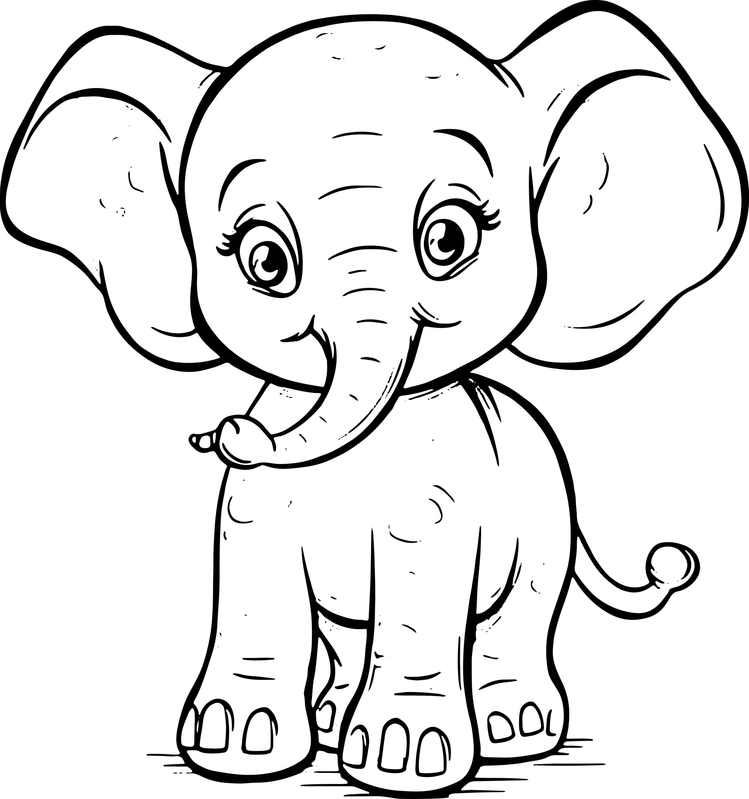 Elephant coloring book cute and fun coloring books for relaxation and stress made by teachers