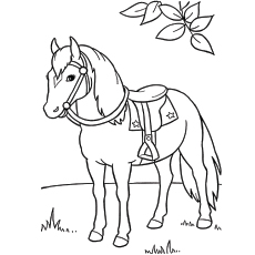 Top free printable horse coloring pages online