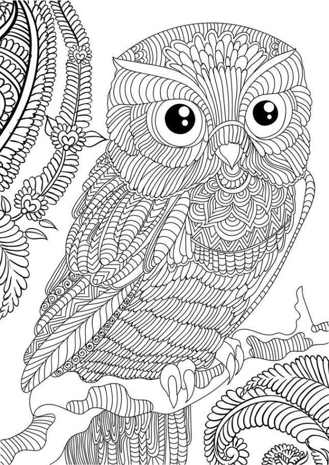 Owl coloring pages for adults free detailed owl coloring pages owl coloring pages animal coloring pages halloween coloring pages