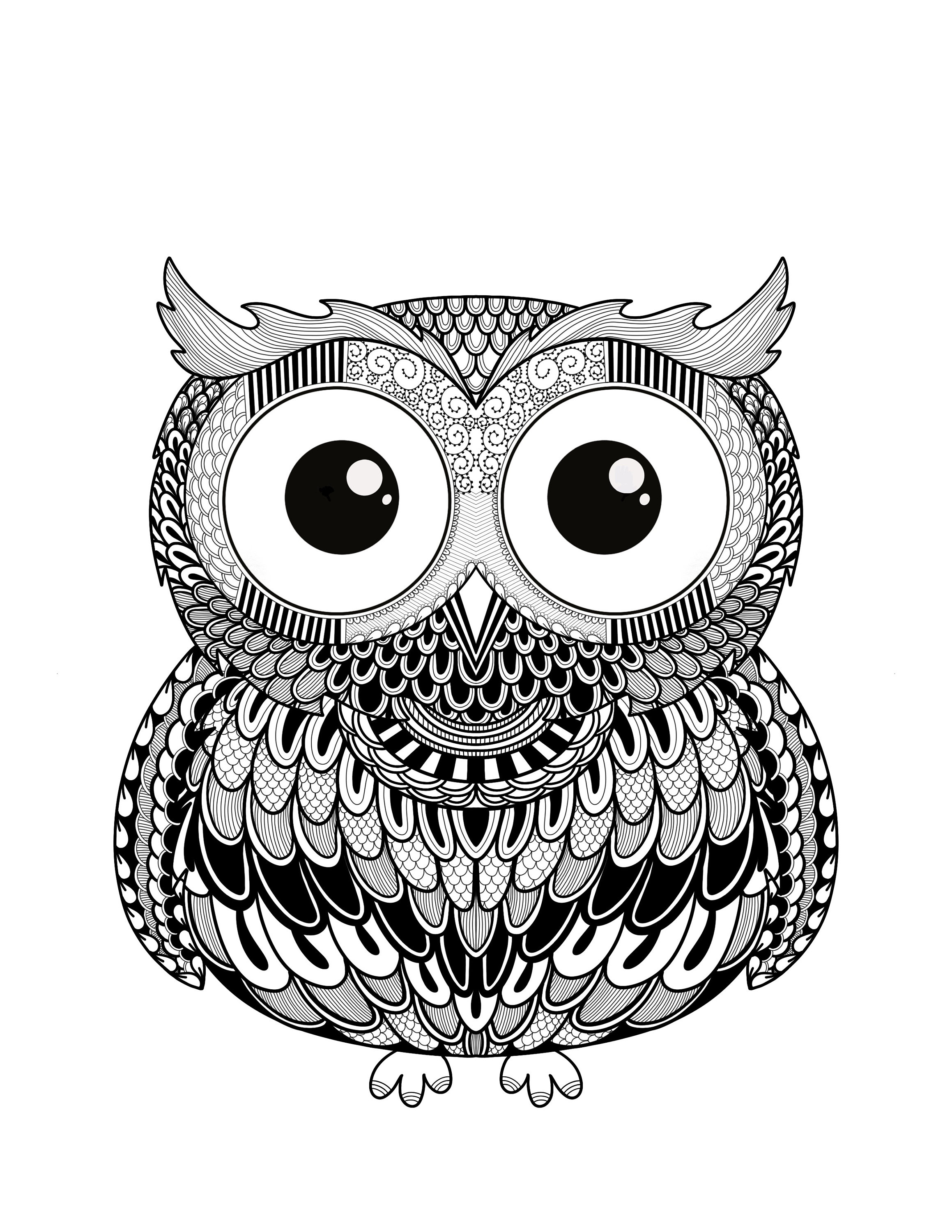 Cute owl coloring page digital download full page owl coloring page zentangle coloring page for adults pdf png jpg