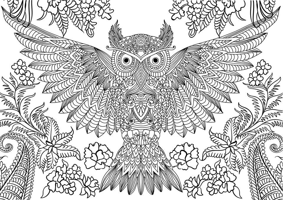 Difficult owl coloring page for adults owl coloring pages animal coloring pages detailed coloring pages