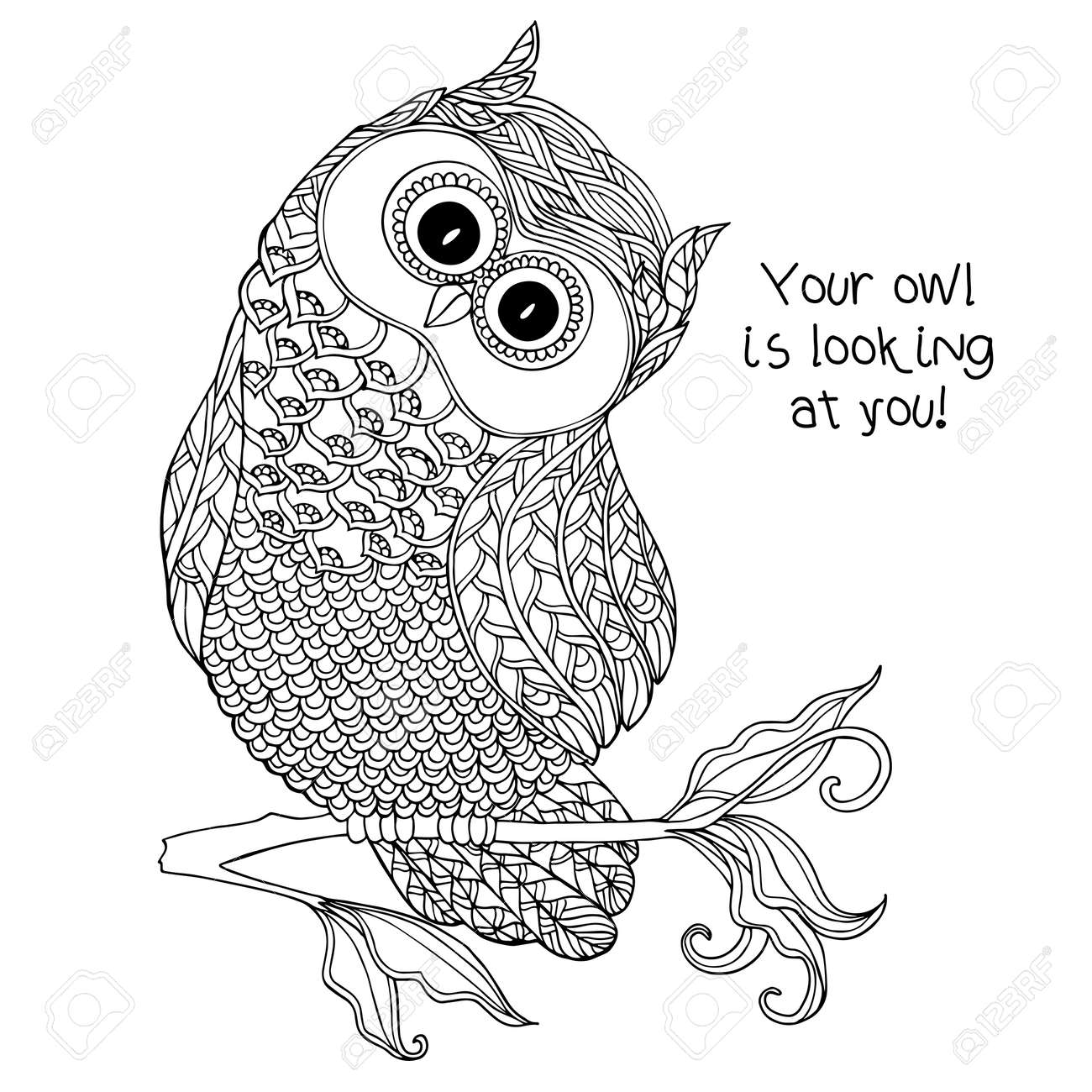Coloring book for adult and older children coloring page with cute owl outline drawing in zentangle style royalty free svg cliparts vectors and stock illustration image
