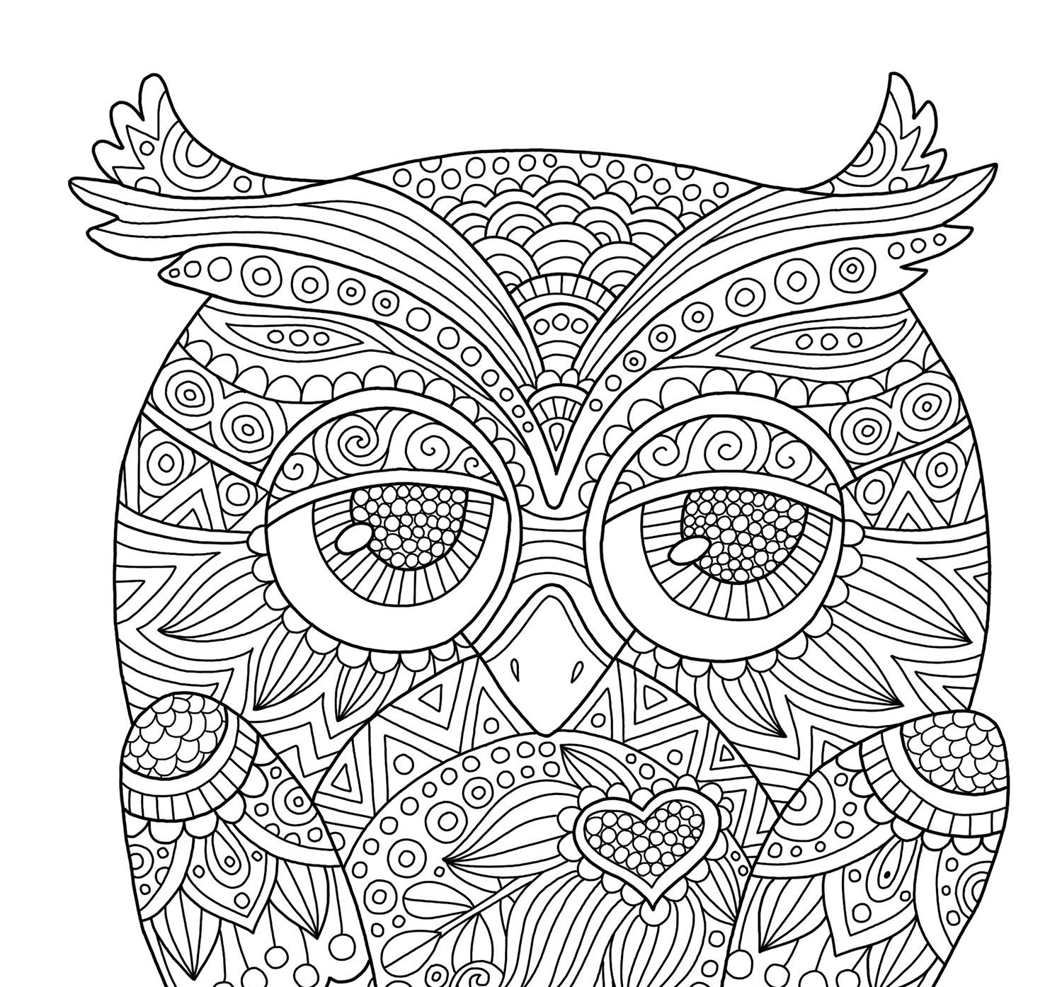Adult coloring page cute owl doodle art diy coloring poster printable pdf instant download download now