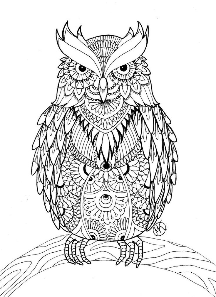 Owl coloring pages for adults free detailed owl coloring pages owl coloring pages animal coloring pages detailed coloring pages
