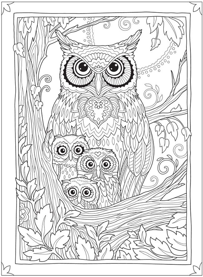 Wele to dover publications owl coloring pages cool coloring pages butterfly coloring page