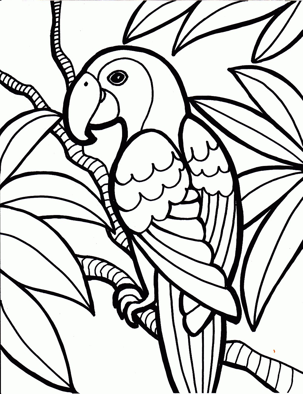 Free printable parrot coloring pages for kids