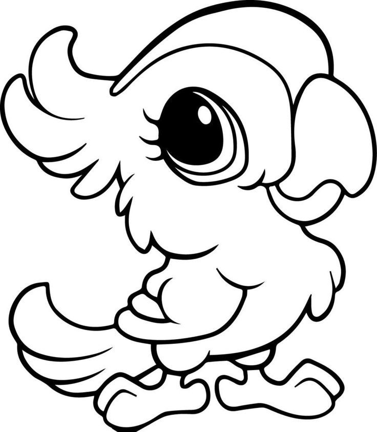 Cute baby parrot coloring page zoo animal coloring pages animal coloring pages animal coloring books