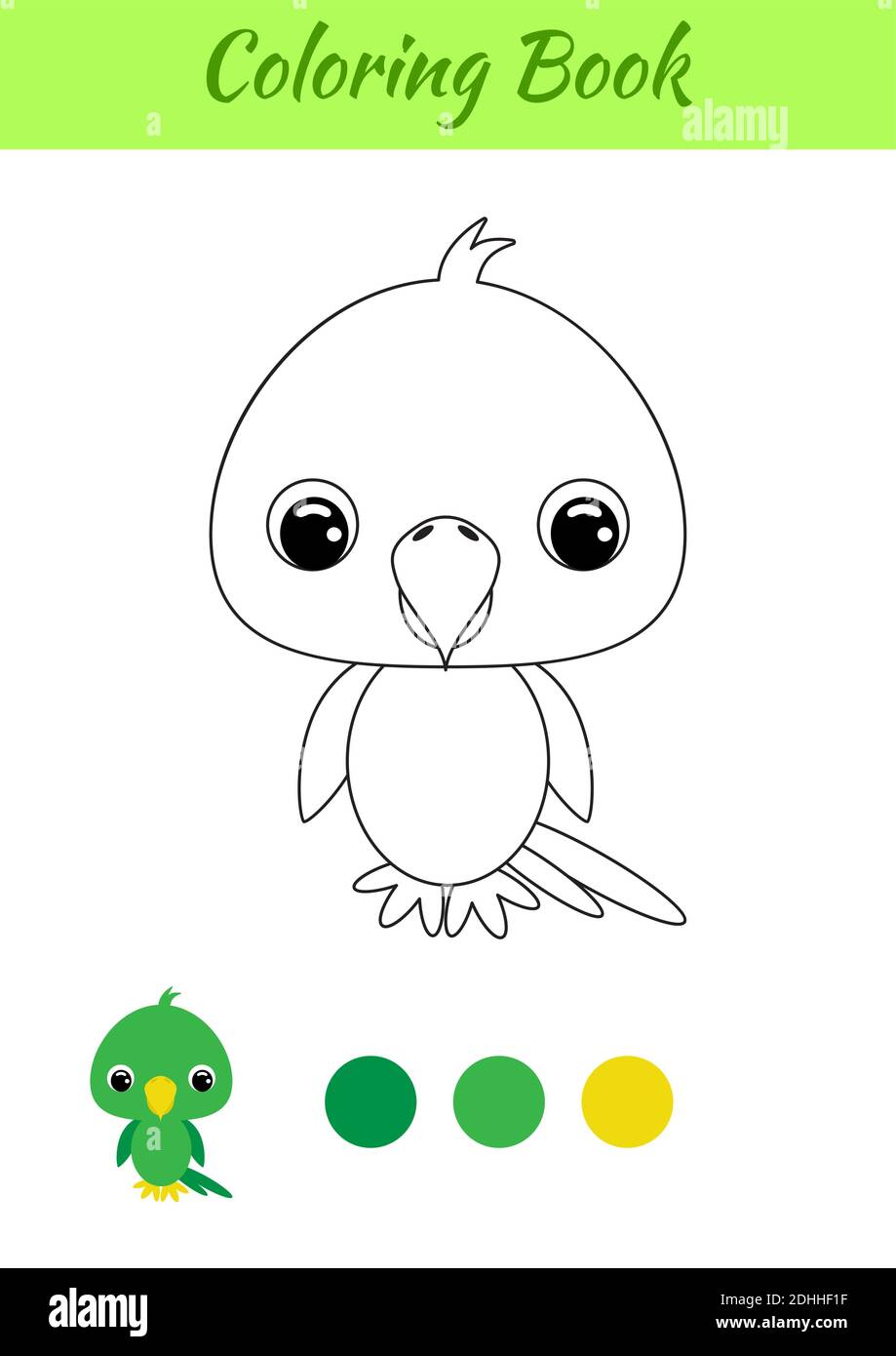 Coloring book little baby parrot coloring page for kids educational activity for preschool years kids and toddlers with cute animal stock vector image art