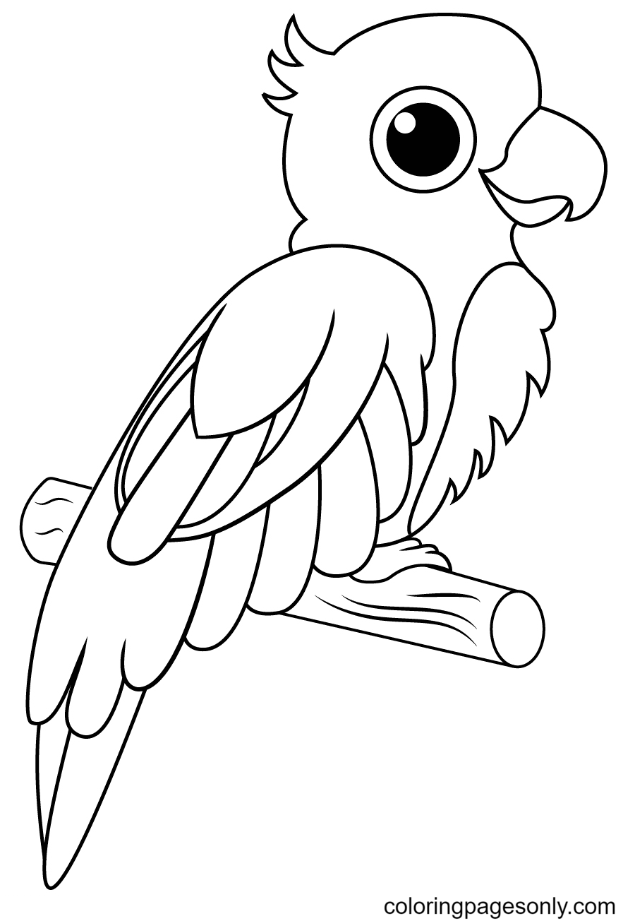 Parrot coloring pages printable for free download