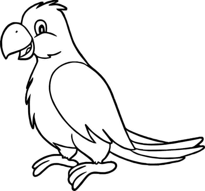 Cute parrot coloring pages pdf