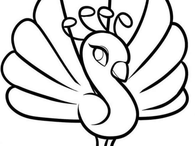 Free easy to print peacock coloring pages