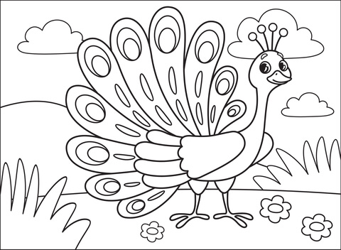 Peacock coloring page free printable coloring pages