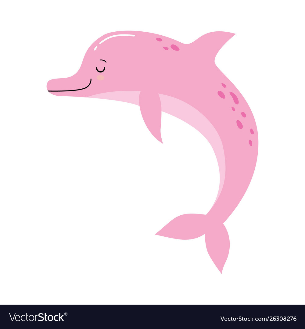 Розовый Дельфин на белом фоне