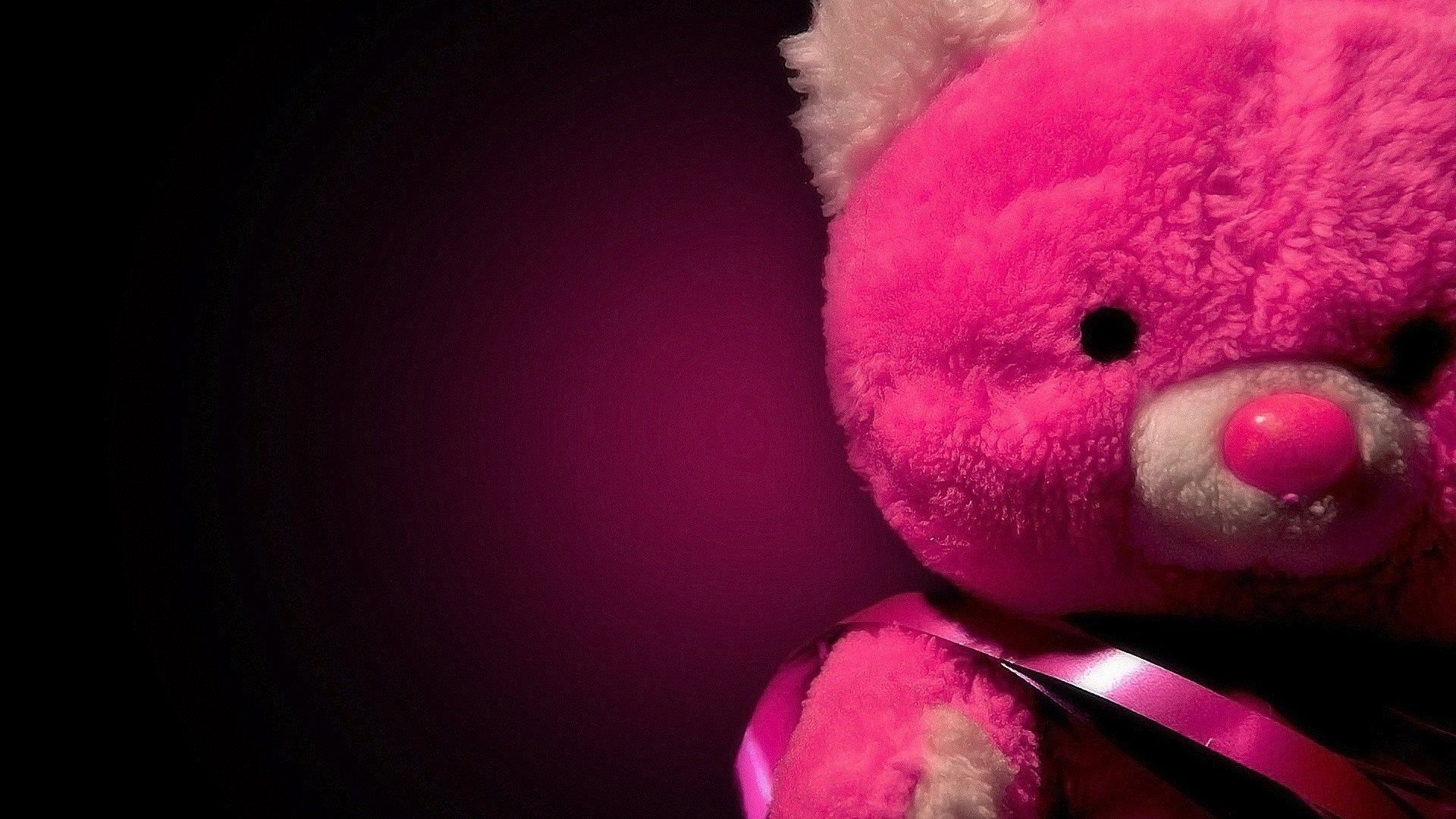 Big teddy bear hd wallpaper