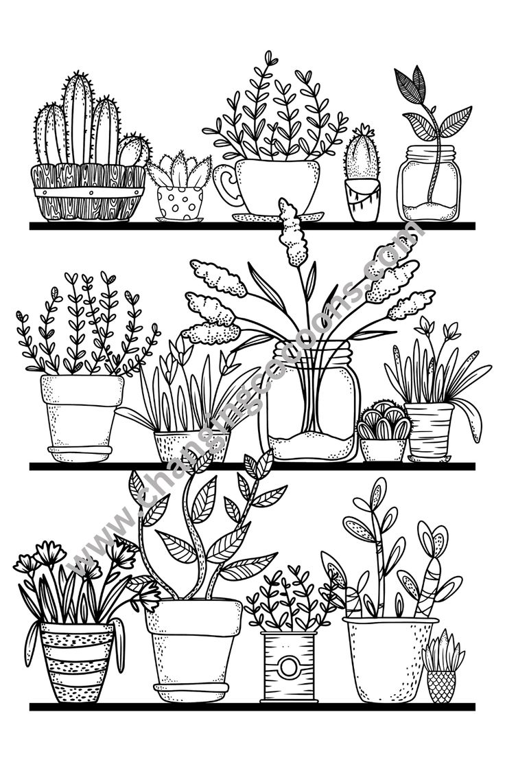 X fun plant colouring pages i digital print i pdf download i