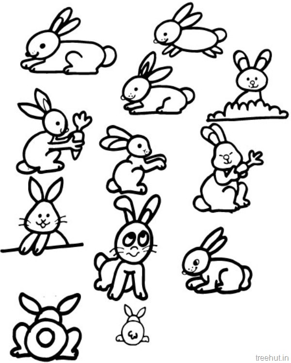 Cute bunny rabbits colorg pictures