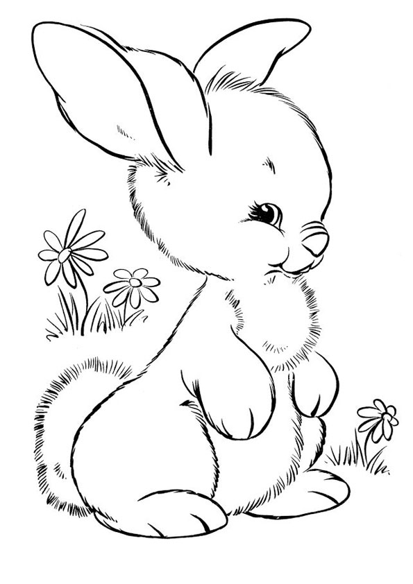 Coloring pages cute rabbit coloring page