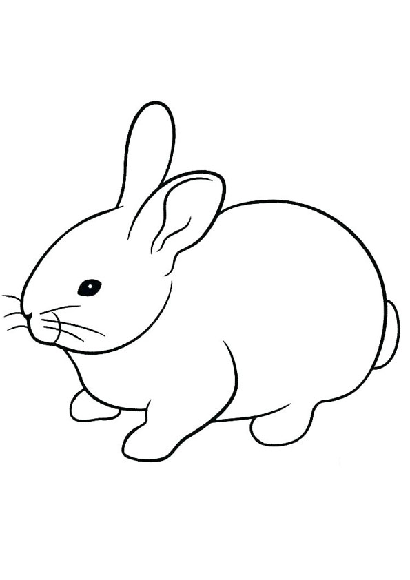 Coloring pages cute rabbit coloring page