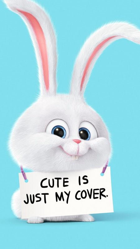 Cute bunny wallpaper download