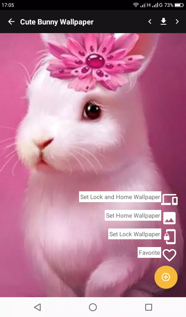 Cute bunny wallpapers apk for android download