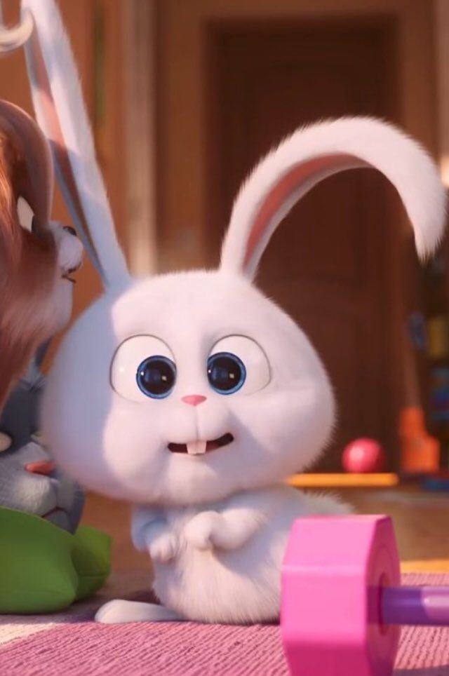 Bloomhaf snowduck on twitter cute bunny cartoon rabbit wallpaper cute cartoon pictures