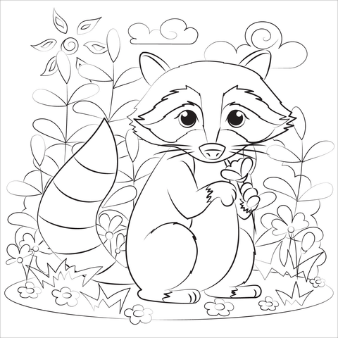 Raccoon coloring page free printable coloring pages