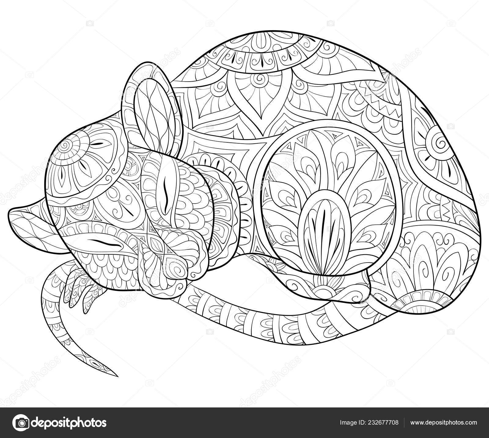 Cute sleeping rat ornaments image relaxing activity coloring book page stock vector by nonuzza